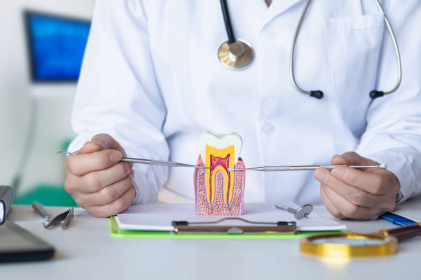 Best Emergency Treatment for Dental Infections or Abscesses in Florence Graham, CA